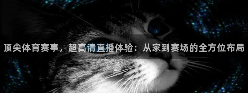 顶尖体育赛事，超高清直播体验：从家到赛场的全方位布局