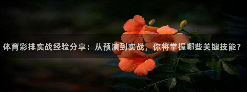 体育彩排实战经验分享：从预演到实战，你将掌握哪些关键技能？