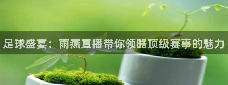 足球盛宴：雨燕直播带你领略顶级赛事的魅力