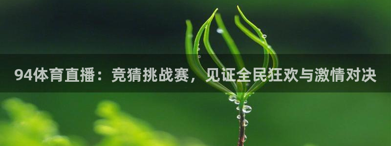 94体育直播：竞猜挑战赛，见证全民狂欢与激情对决