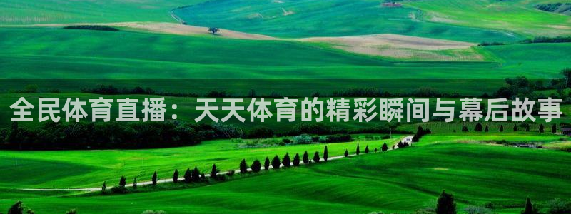 全民体育直播：天天体育的精彩瞬间与幕后故事