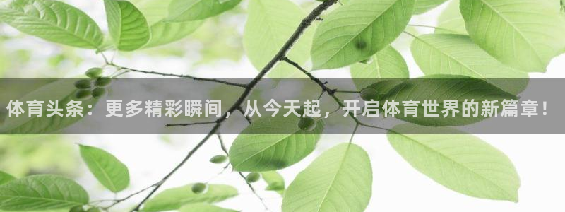 体育头条：更多精彩瞬间，从今天起，开启体育世界的新篇章！