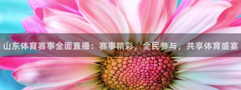 山东体育赛事全面直播：赛事精彩，全民参与，共享体育盛宴