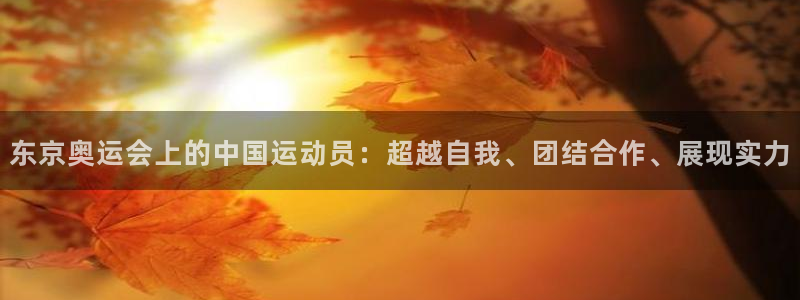 东京奥运会上的中国运动员：超越自我、团结合作、展现实力