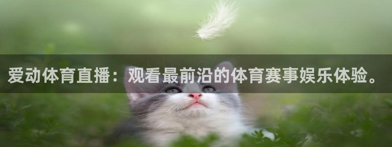 爱动体育直播：观看最前沿的体育赛事娱乐体验。