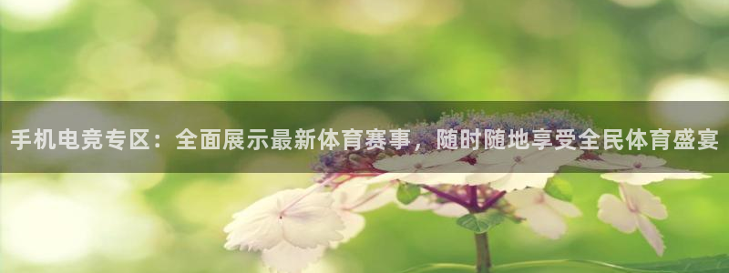 手机电竞专区：全面展示最新体育赛事，随时随地享受全民体育盛宴