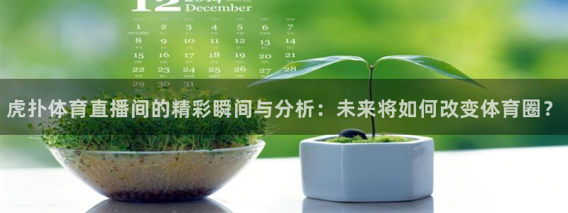 虎扑体育直播间的精彩瞬间与分析：未来将如何改变体育圈？
