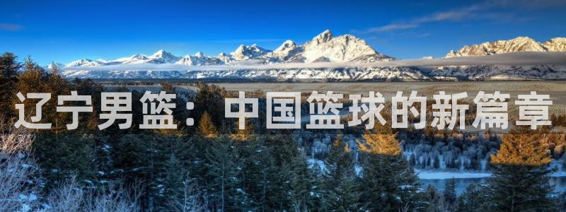 辽宁男篮：中国篮球的新篇章