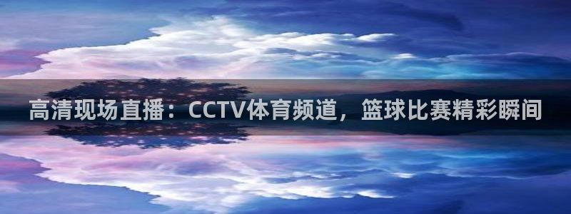 高清现场直播：CCTV体育频道，篮球比赛精彩瞬间
