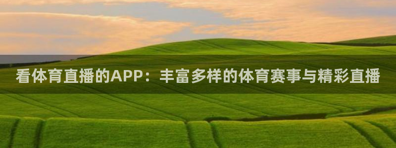 看体育直播的APP：丰富多样的体育赛事与精彩直播